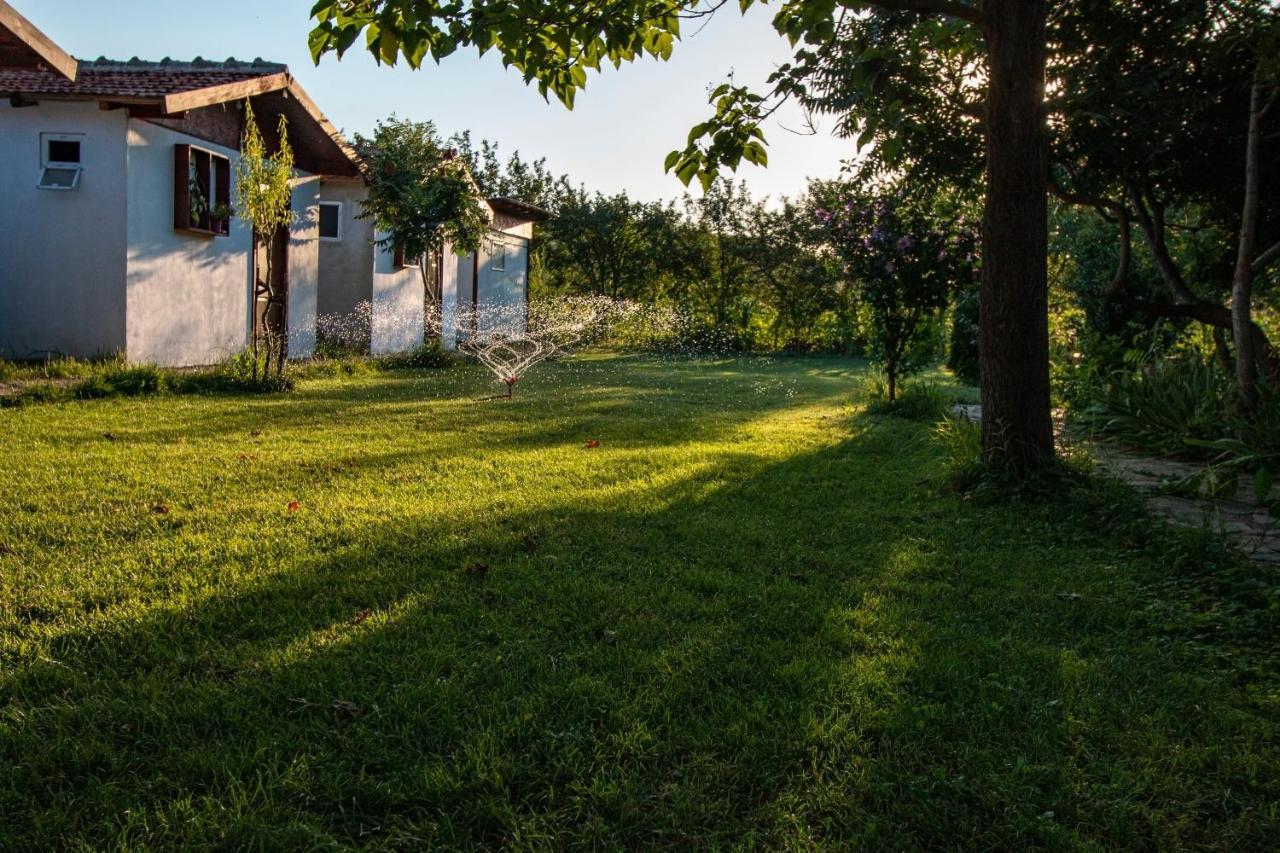 La Livada Villa Greci Eksteriør bilde
